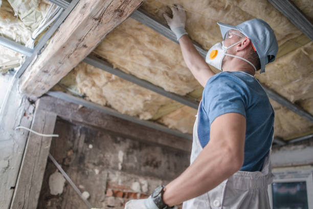 Best Insulation Installation Services in Warren, OH